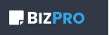  BIZPRO