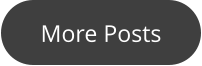 More Posts